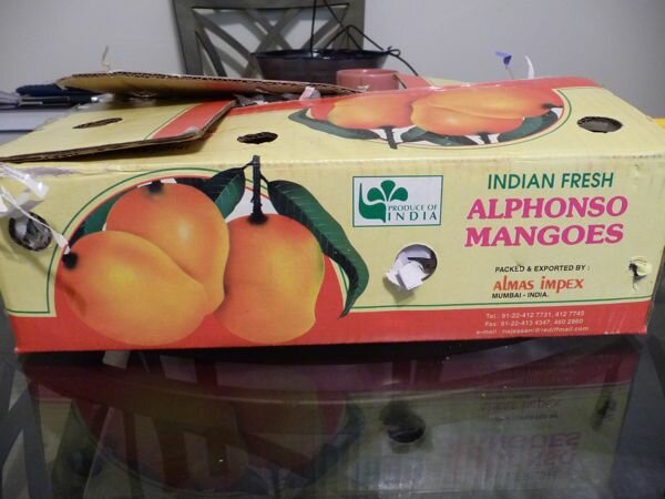 mango1