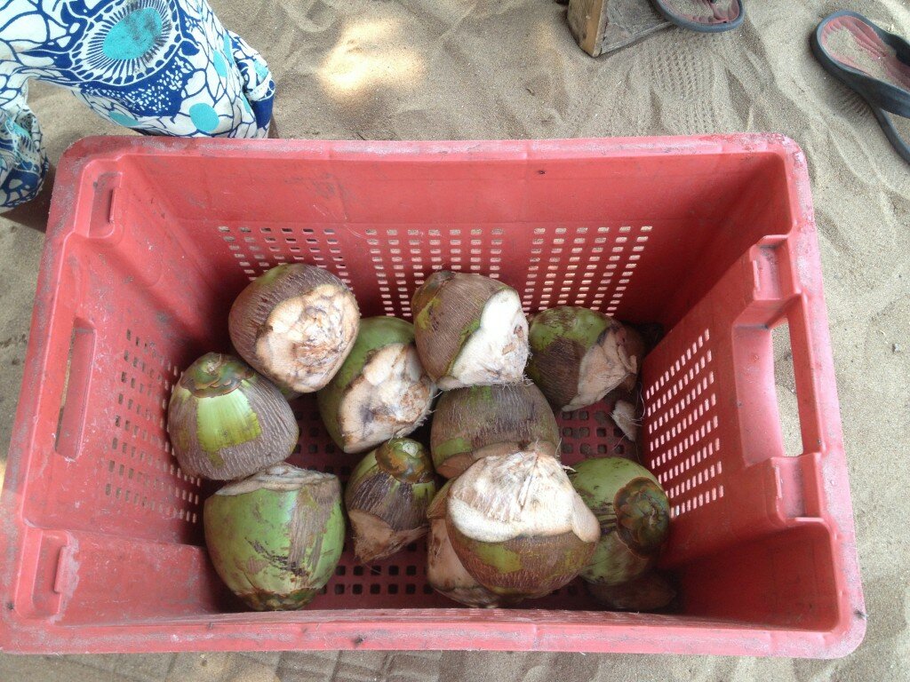 fresh coconuts in ghana